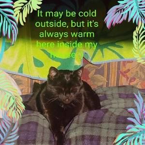 Meet your Posher, Melanie